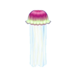 Pink Striped Jellyfish